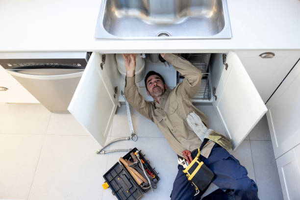 Best Affordable Plumbing Services  in Leslie, MI